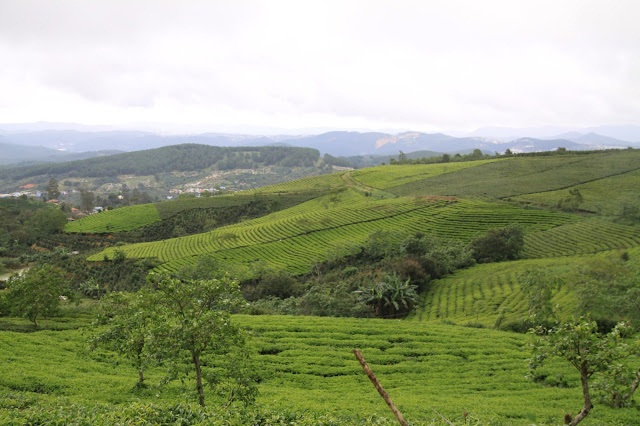 Review Đà Lạt - SĂN MA và DÃ QÙY t 11/2016 - 31