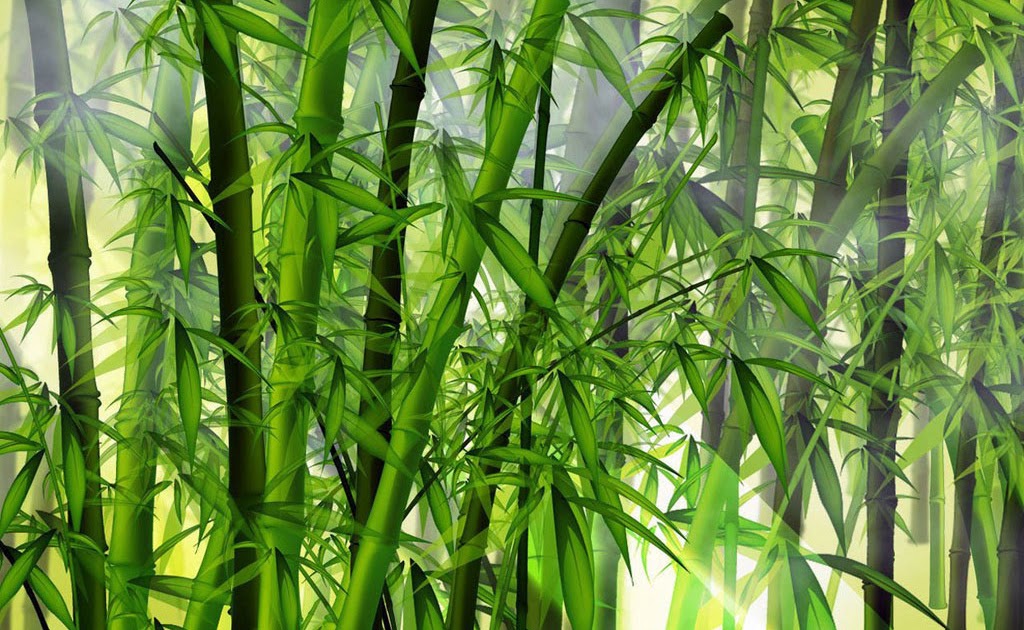 Caminho das Pedras Paisagismo : Bambu poderia servir de salvação para o