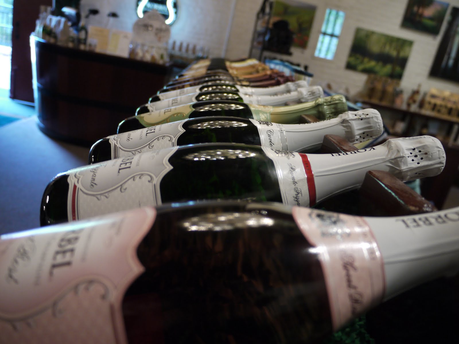 Memories and Misadventures Wine Tasting in Sonoma 9 April 2011