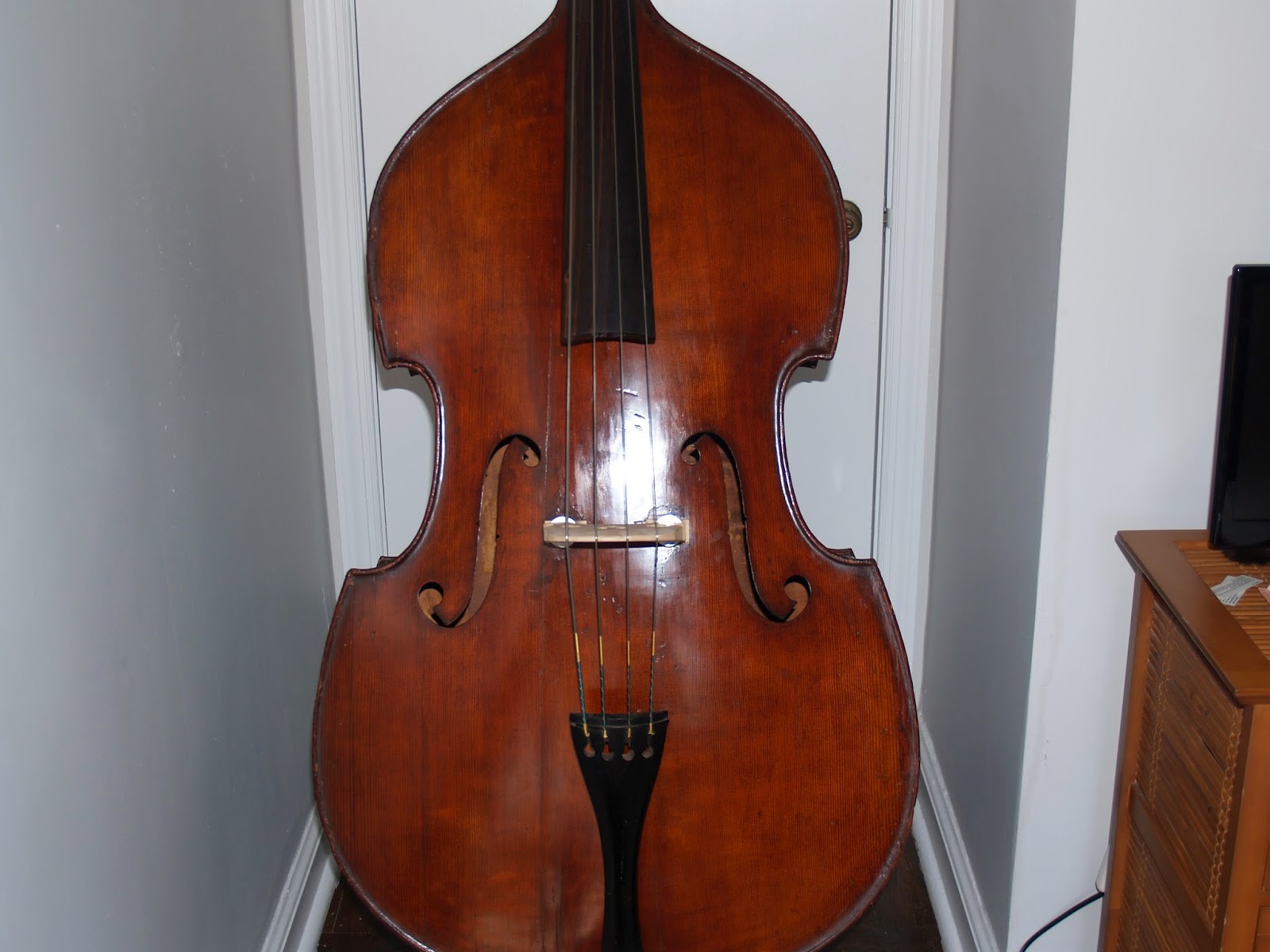 Riccardi's Violin and Bass Vintage & Used Double Basses