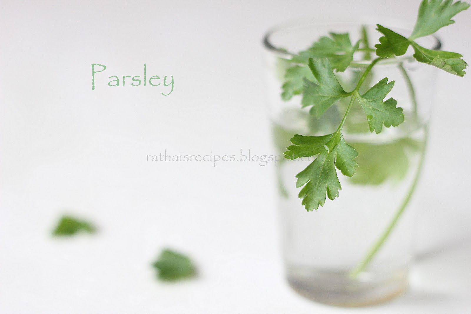 Rathai's Recipes Middle Eastern Salad