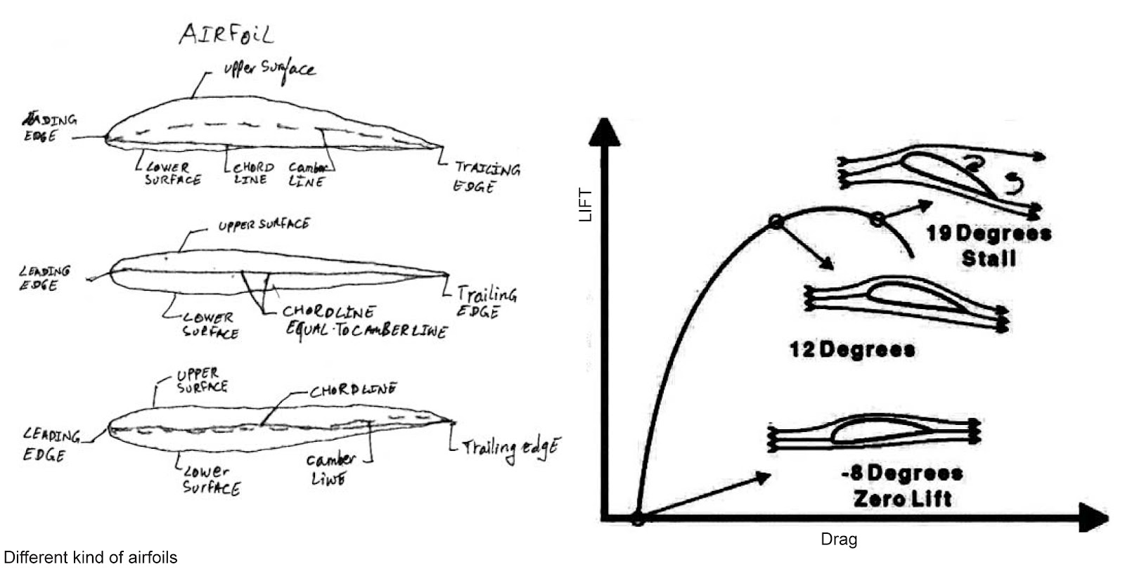 buckylab HOW IT WORKS GLIDERS