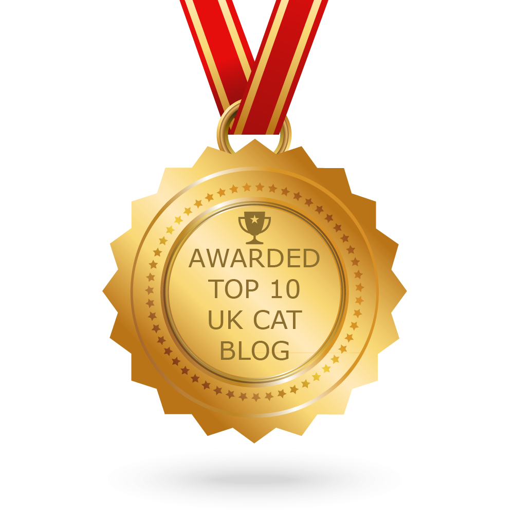 Awarded Top 10 UK Cat Blog
