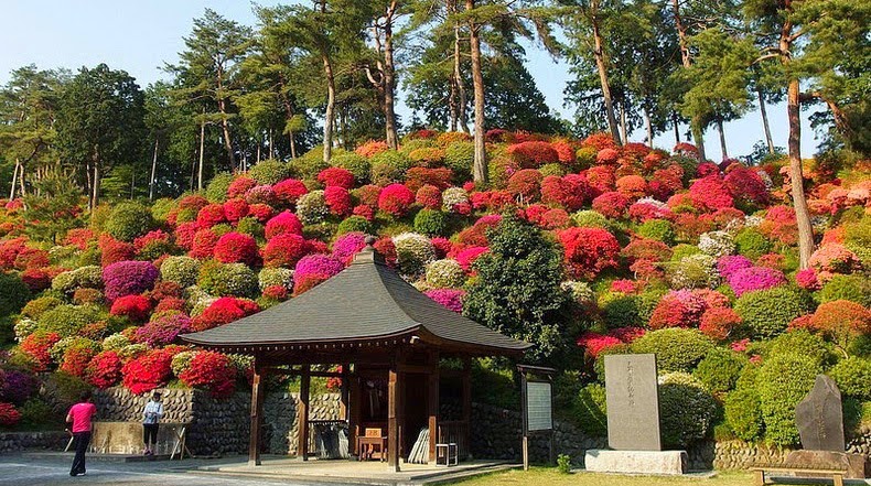 Ikebana; el Arte Floral Japonés
