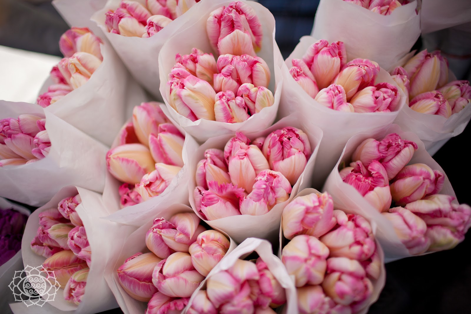 union square farmers market soul wrap