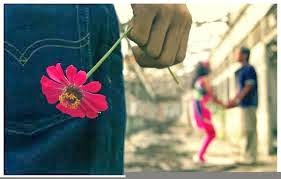 نقره لتكبير أو تصغير الصورة ونقرتين لعرض الصورة في صفحة مستقلة بحجمها الطبيعي