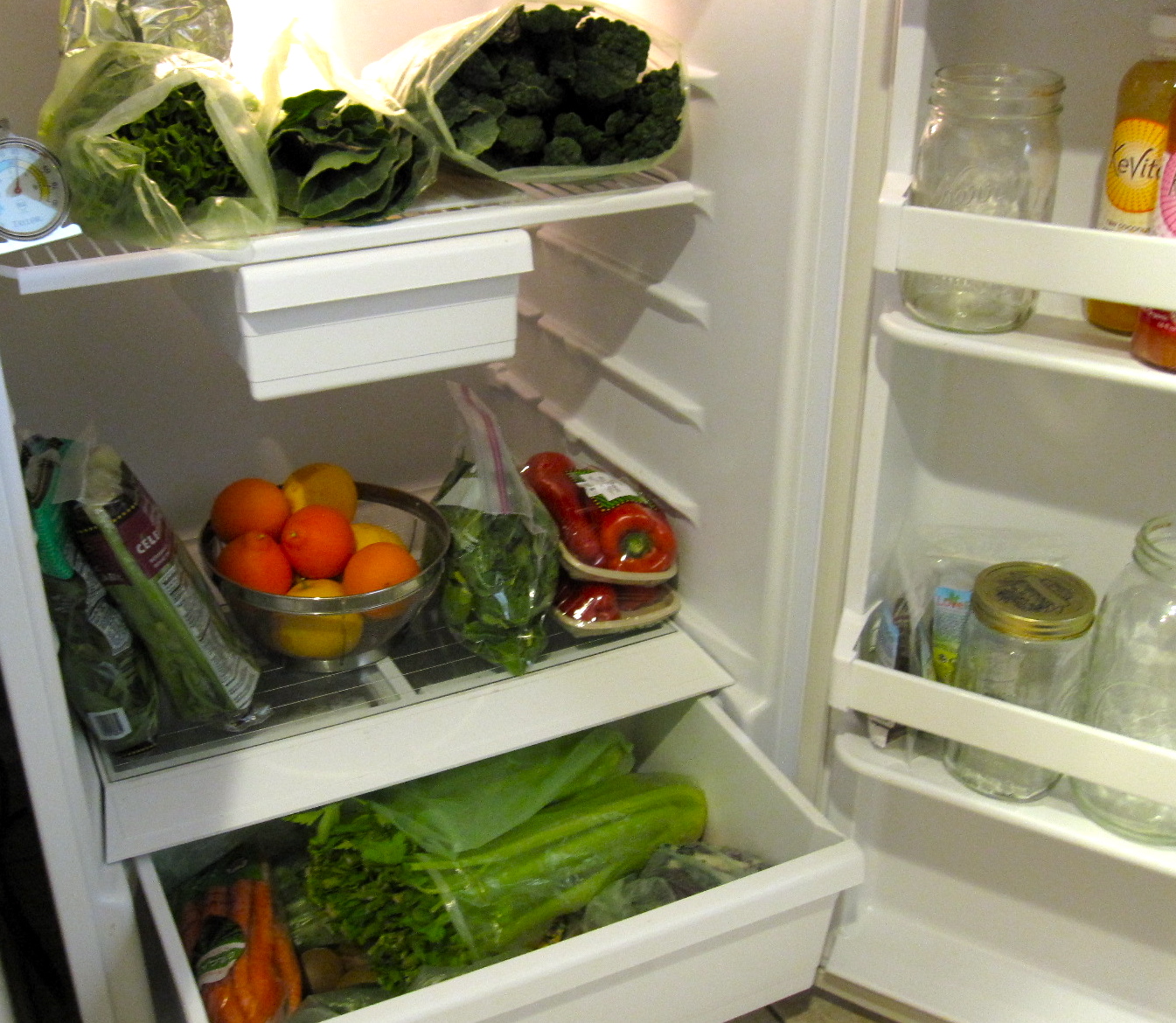 Sneak Peek Into My Refrigerator(s), Freezer, and Counter Kristen