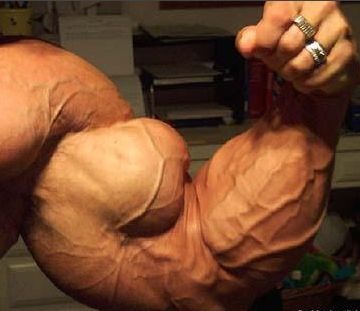 Resultado de imagem para biceps monstros