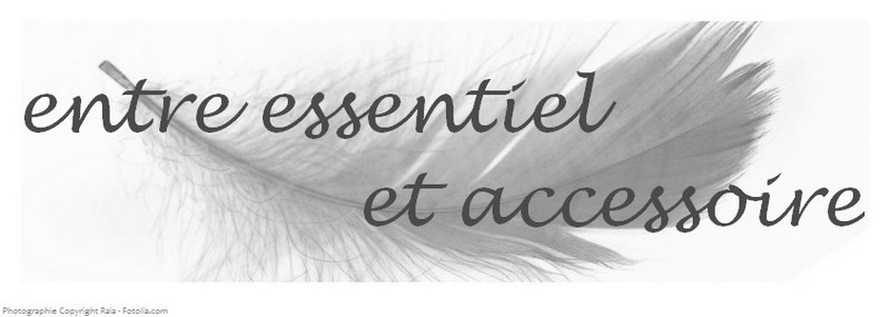 entre essentiel et accessoire