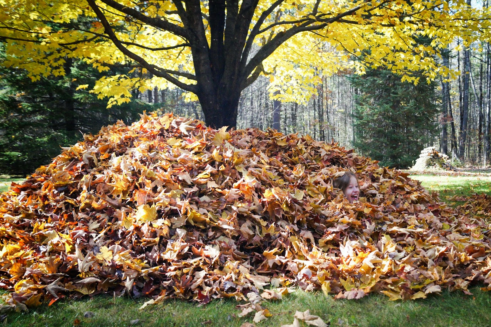 live.life.create.art A BIGGER leaf pile!