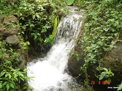 Streams at Velliamattom, Thodupuzha, Idukki