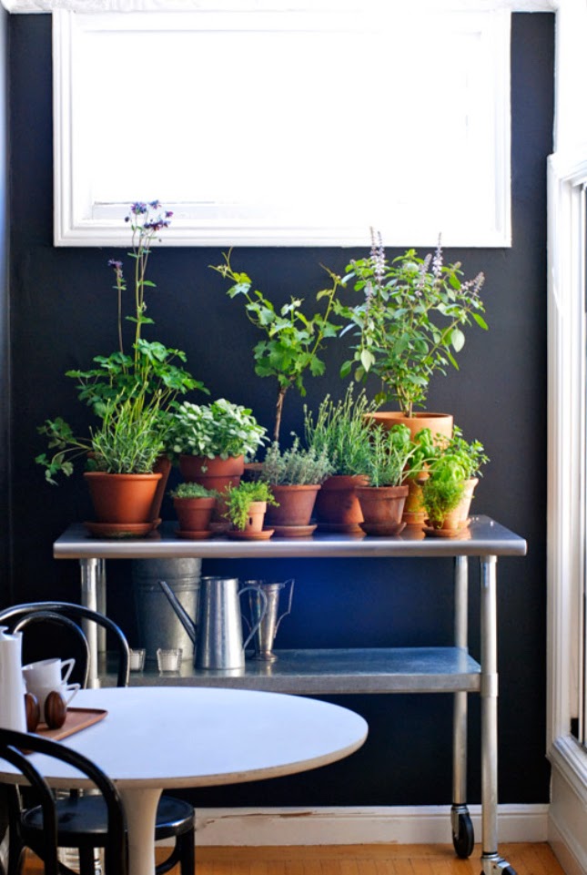 EcoNotas.com: Ideas para Cultivar Verduras en la Cocina