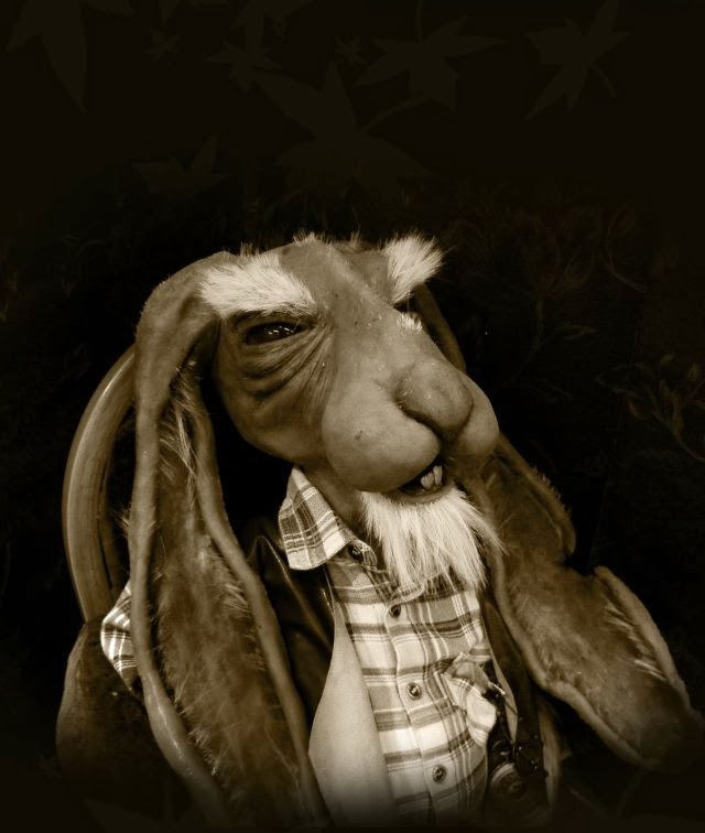 tawsi nin dunyasi yasli tavsan bakimi