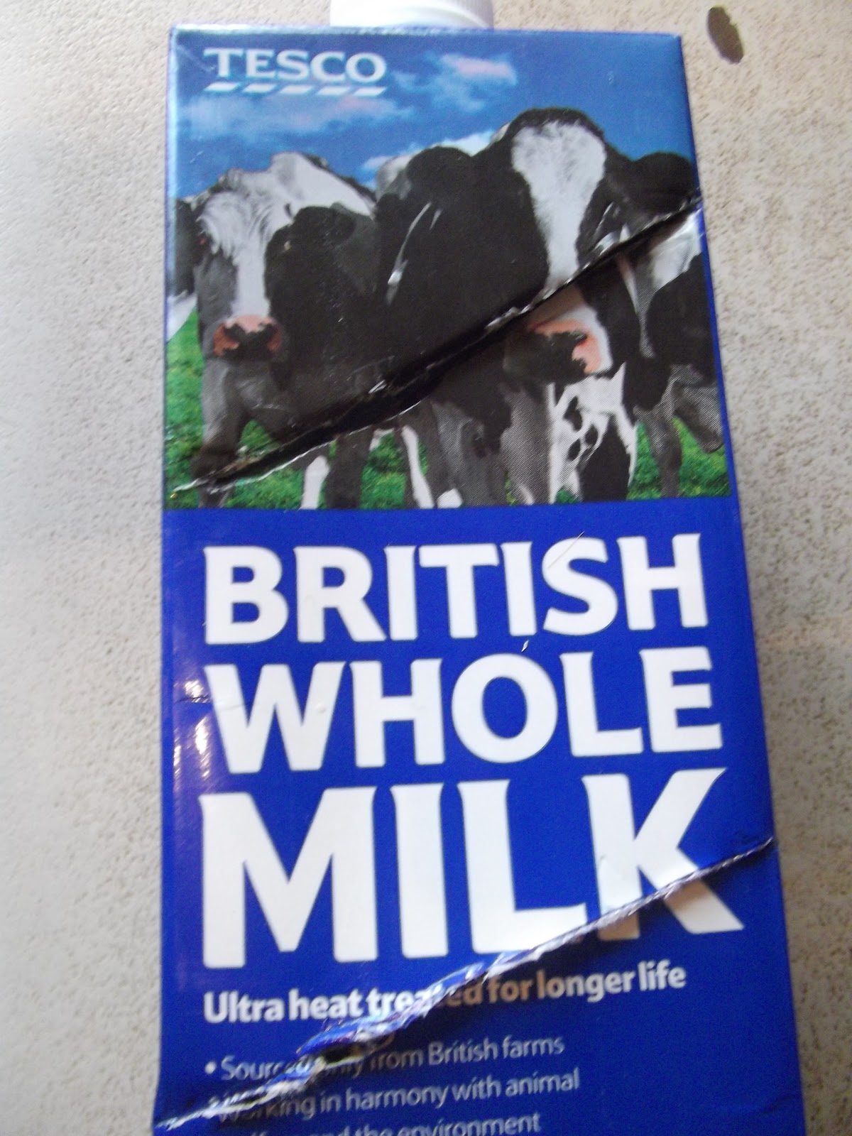 The face on the milk carton chapter 1 picture