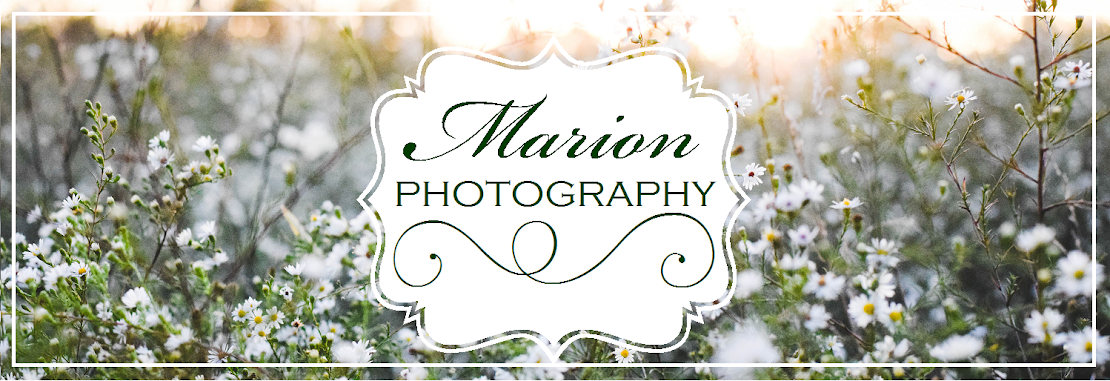 Marion Photography