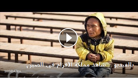 بالفيديو .. شاهد مملكة الأقزام في الصين بالفيديو .. شاهد مملكة الأقزام في الصين