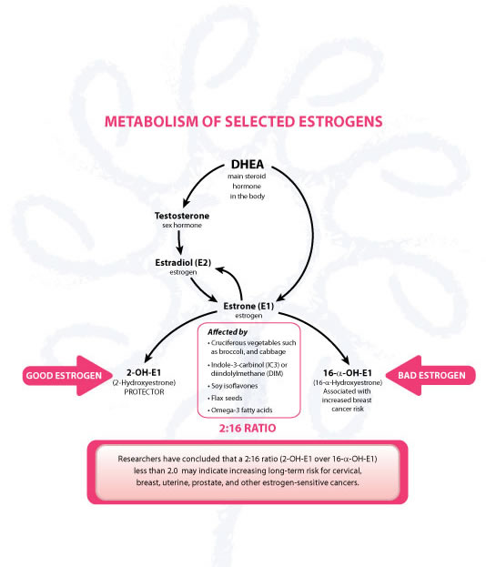 Proactive Health Solutions, LLC Estrogen Dominance, Estronex and Other Information