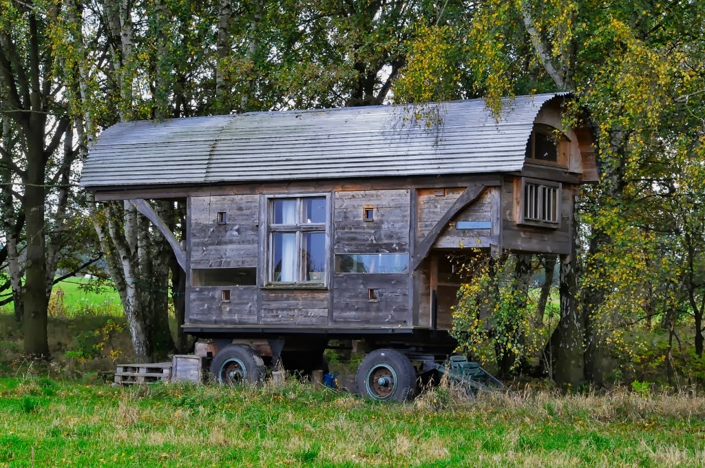 Grasgefluster Oktober 2013