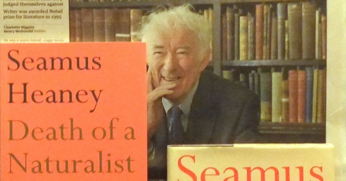 Seamus heaney research paper