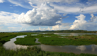 Rio Zambeze ameaça isolar distrito de Marromeu (Sofala) 1 Rio+Zambeze1.jpg