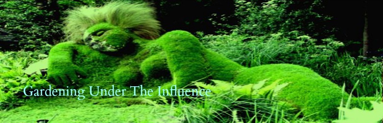 Gardening Under The Influence