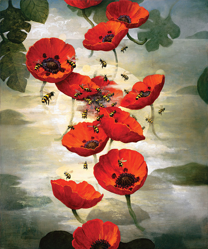 kevin sloan bees