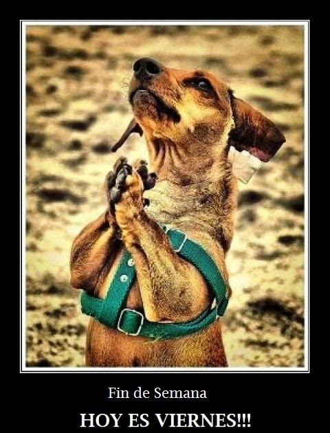 Feliz Fin de Semana, parte 1