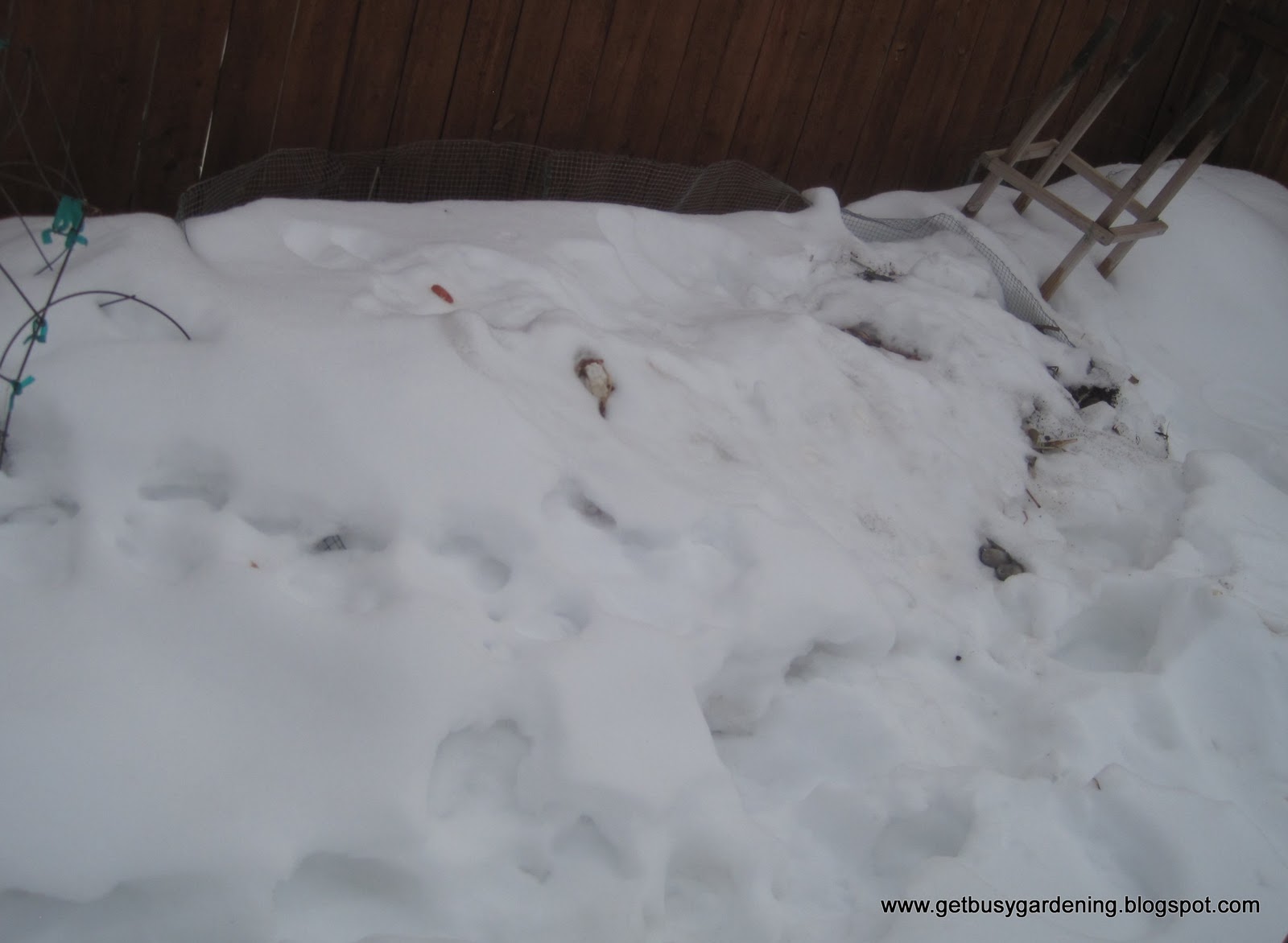 Composting Through the Winter Get Busy Gardening