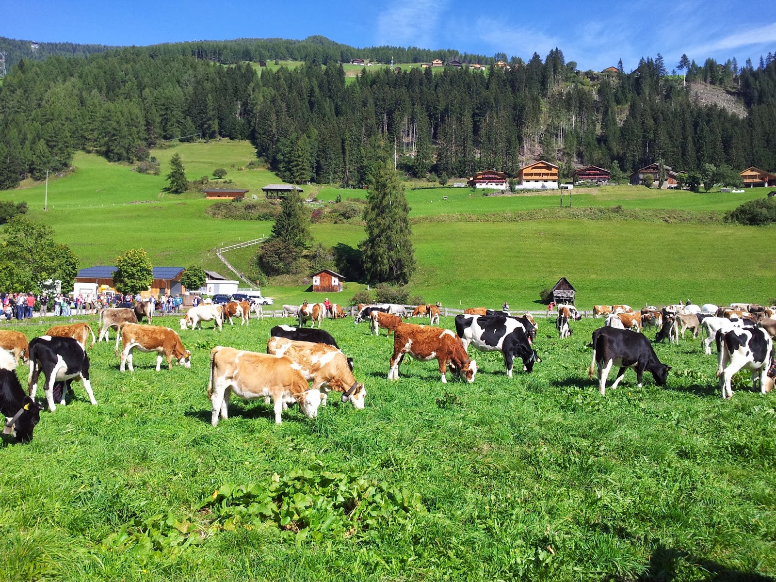 Abenteuer Am Berg 10 Tag Bauernherbstfest Und Almabtrieb In