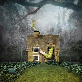 Maggie Taylor Portrait