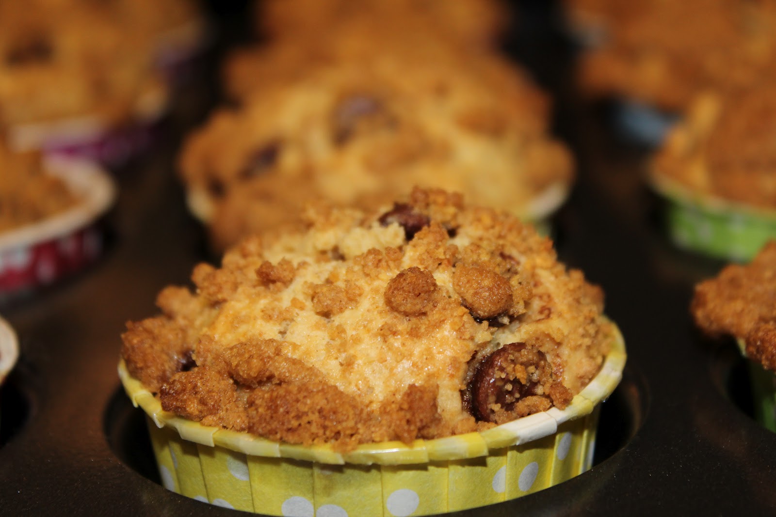 Michelle's Tasty Creations Graham Cracker Chocolate Chip Muffins