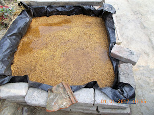 "BOILED RICE" being kept for drying after being boiled in ovens.