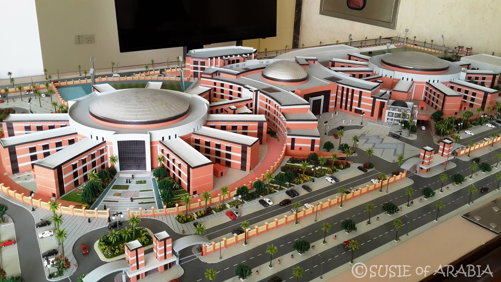 Jeddah Daily Photo Jeddah Waad Academy