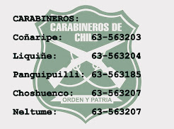 >> Fono Carabineros de Chile