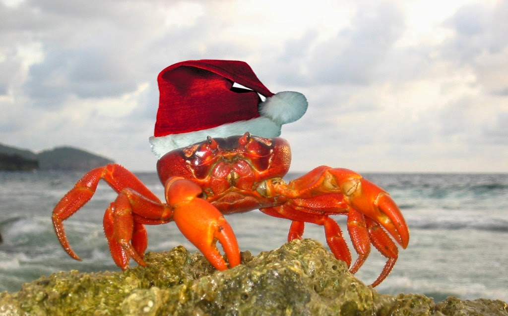 The crabs leave their... 