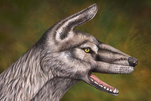 18-Wolf-Guido-Daniele-Painting-Animals-on-Hands-www-designstack-co