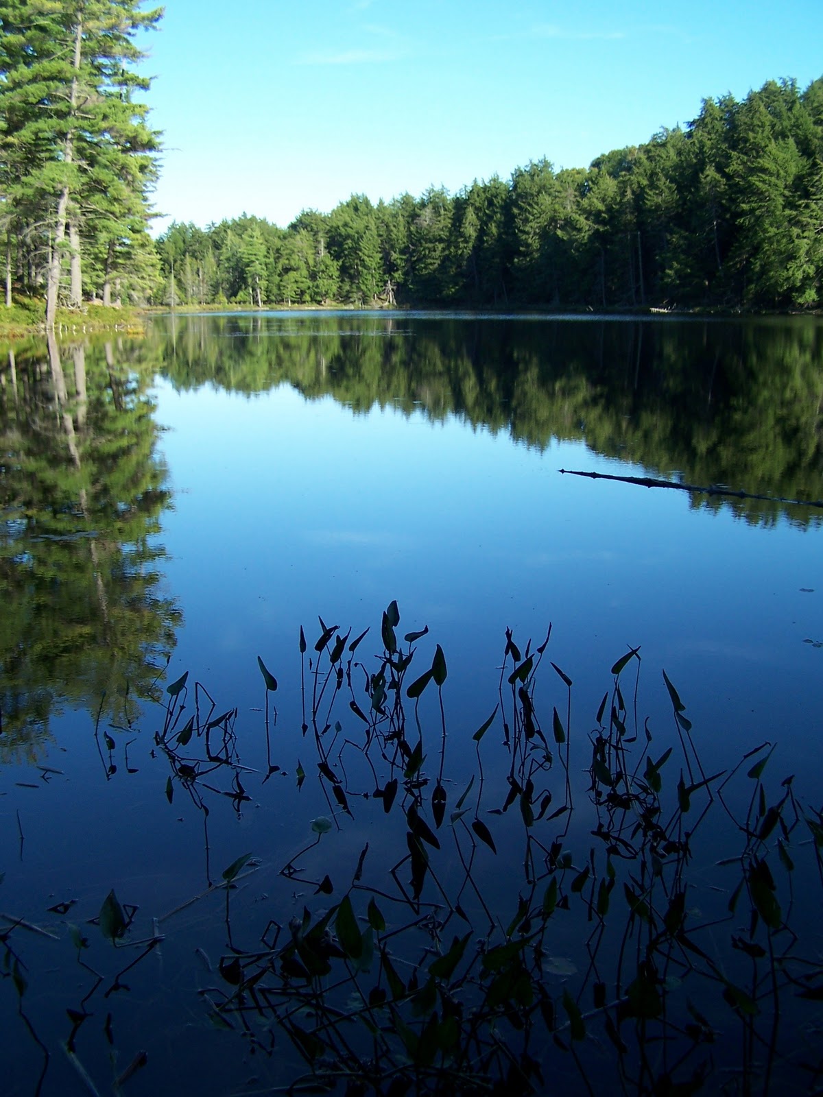 Quiet Kayaking in New York State Massawepie Lake, part two