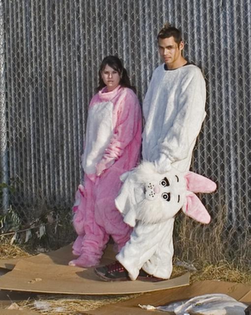 Rabbit Junk - REframe Rabbit Junk - REframe