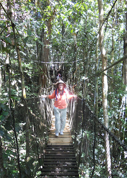 Rope Bridge in the Jungle
