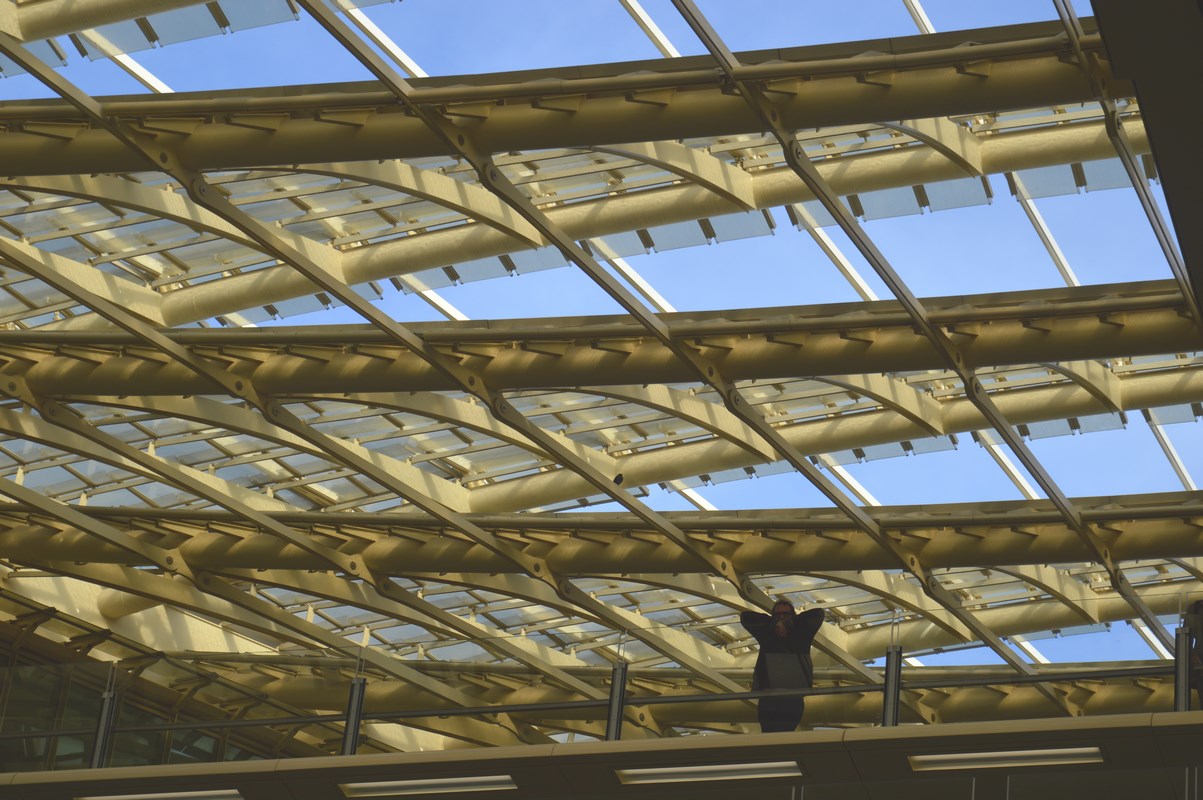 La canopée - Forum des Halles