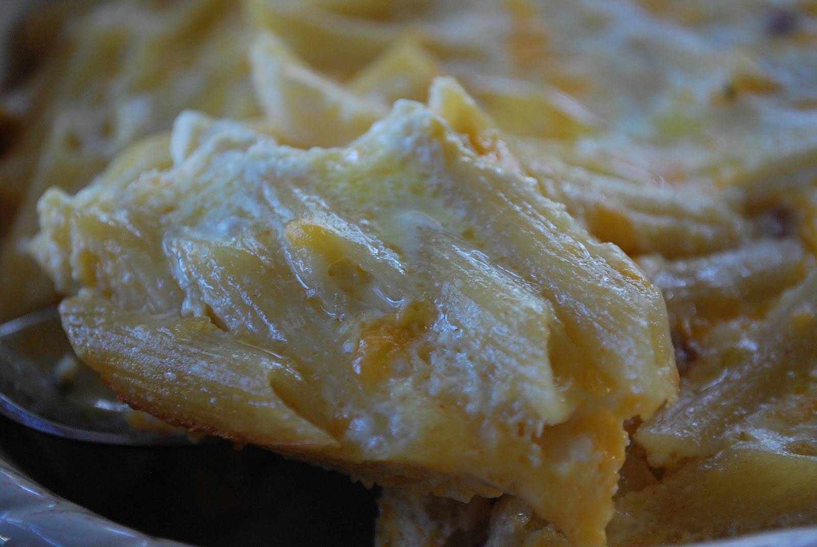 Cheesy Pancetta Pasta Bake