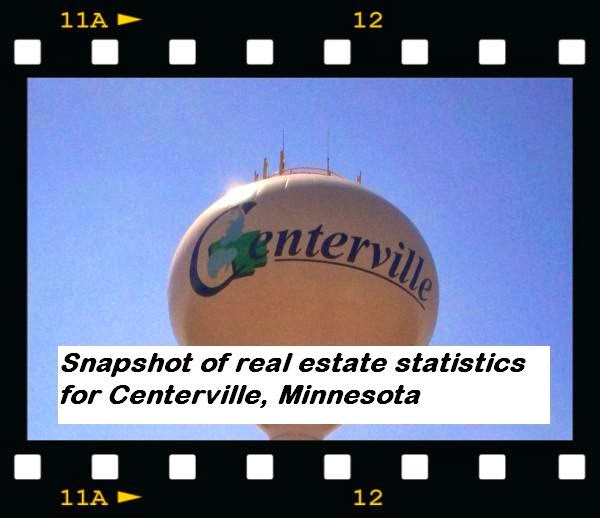 Snapshot of Home Sales Statistics in Centerville MN Year End 2013