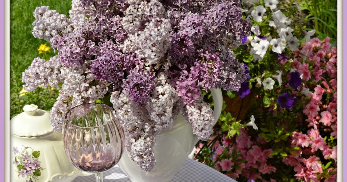 The Gift of Lilacs