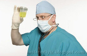 idrar idrar nasıl oluşur, idrar nasıl meydana gelir, idrar oluşumu