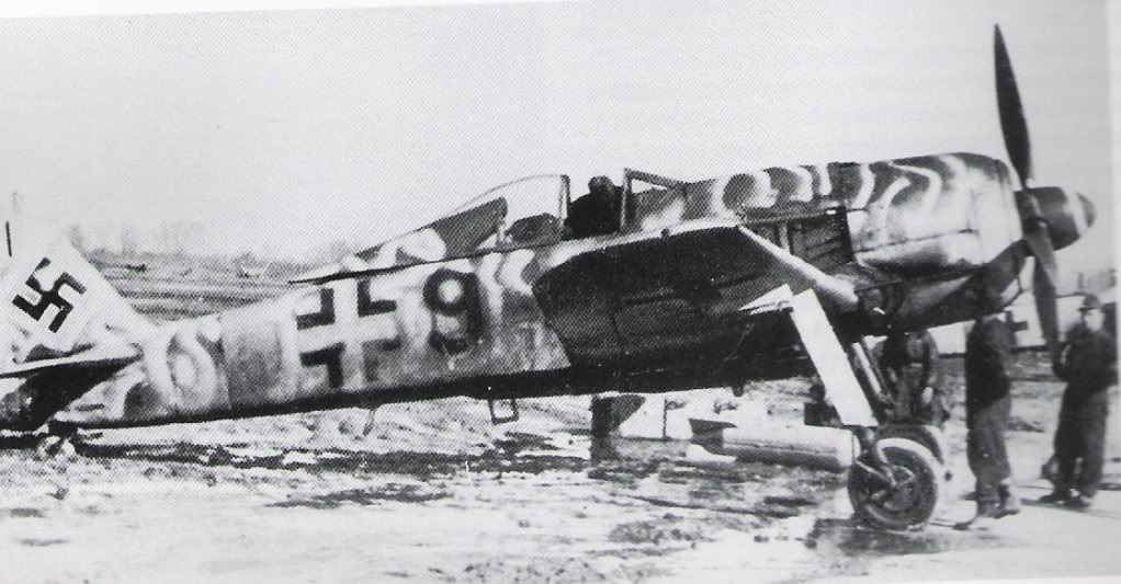 Fw190F-8winter.jpg