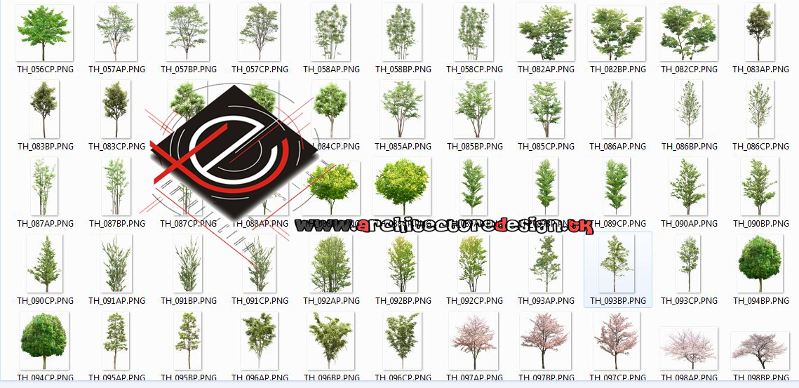 Up Of 300 Trees - Png Free Download - Architecture Design | sketchup