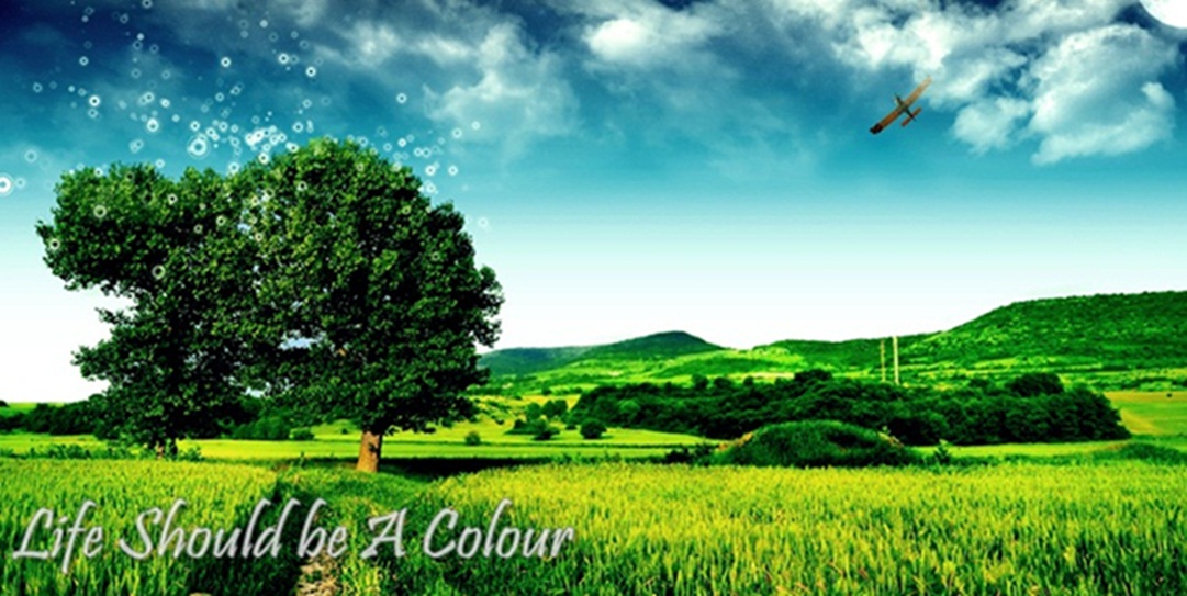 Life Should Be A Colour