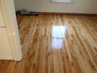How Much Does It Cost To Refinish Hardwood Floors In St Paul Mn