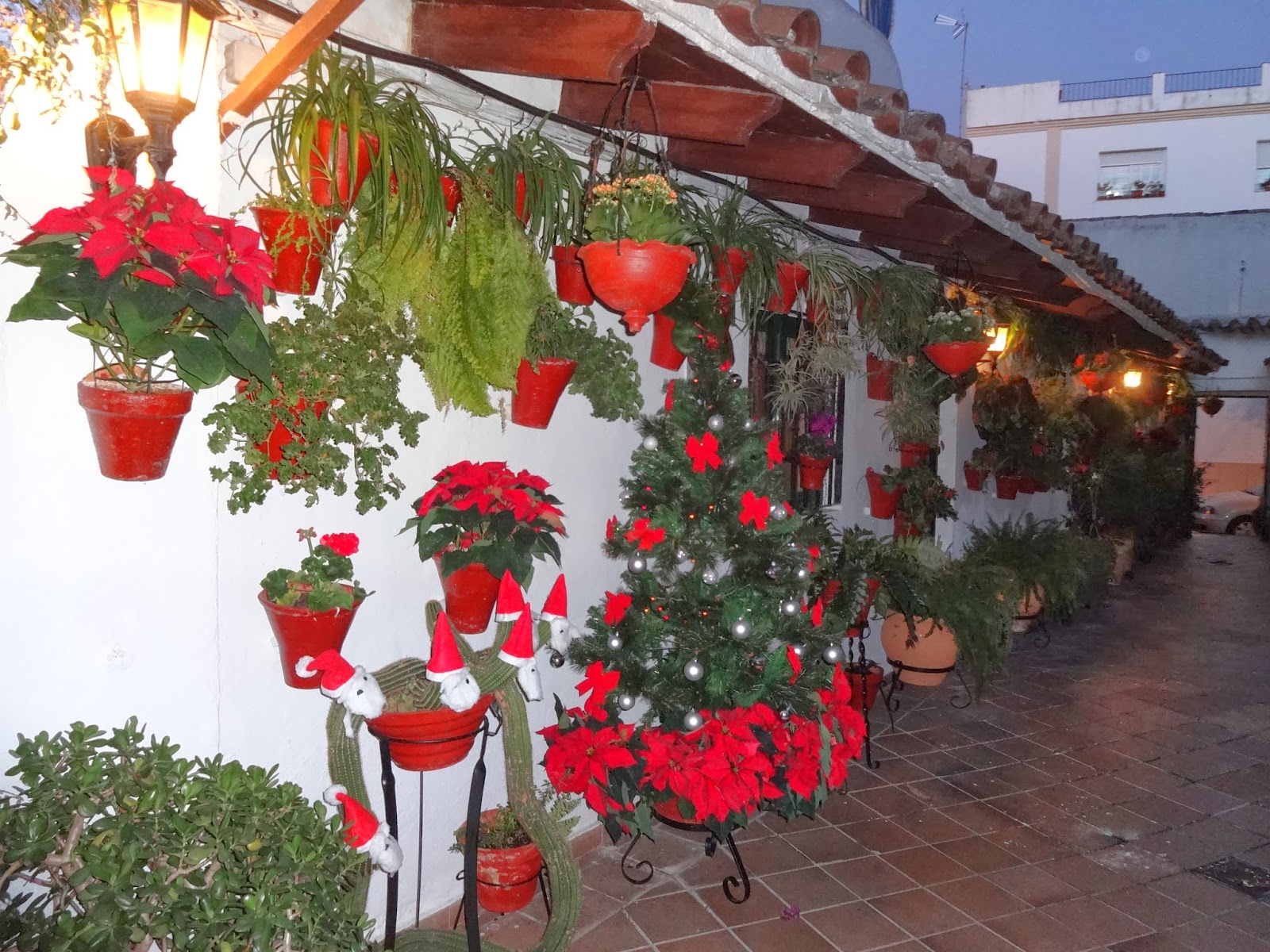 Entre patios y plantas Patios Cordobeses en Navidad