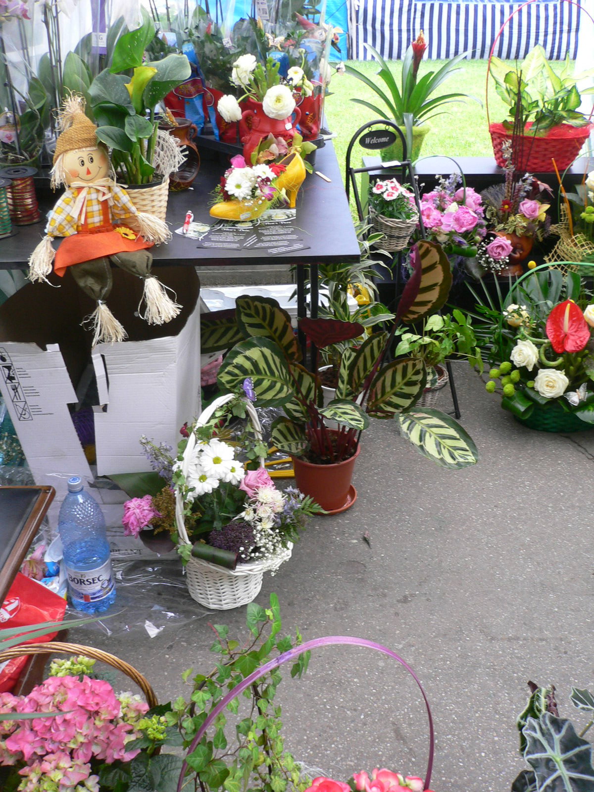 Floraria FLORIS DECO SLATINA 05/24/12